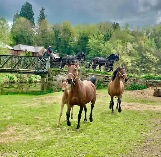 Eden House * Appleby-in-Westmorland
